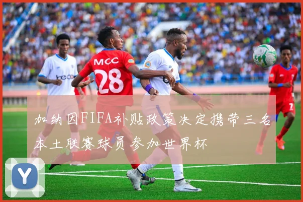 加纳因FIFA补贴政策决定携带三名本土联赛球员参加世界杯